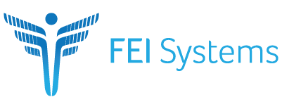 FEI Systems logo